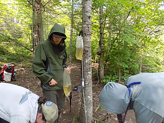 Filtering water from the wilderness during the hiking portion